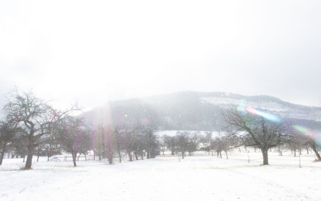 Weihnachten ist abgesagt | Das Waldblick